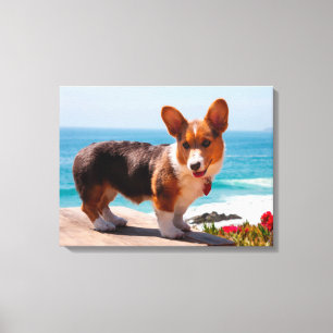 Pembroke Welsh Corgi Welppy auf dem Tisch stehend Leinwanddruck