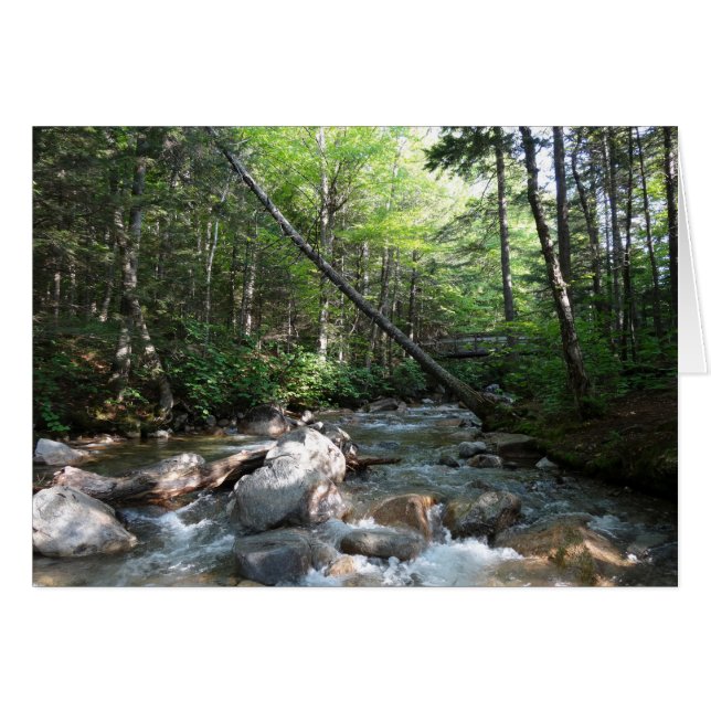 Pemigewasset River Bridge in New Hampshire (Vorderseite (Horizontal))