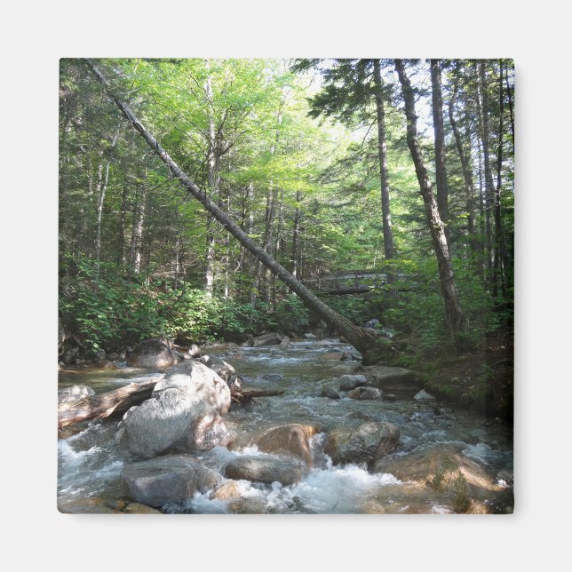 Pemigewasset River Bridge in New Hampshire Magnet (Vorne)
