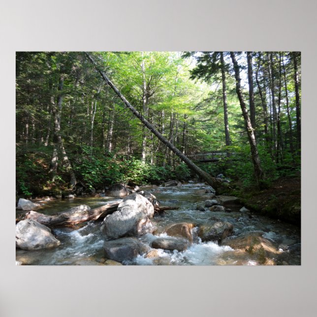 Pemigewasset River Bridge in New Hampshire Poster (Vorne)