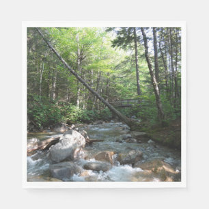 Pemigewasset River Bridge in New Hampshire Serviette