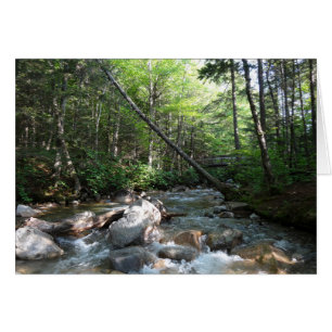 Pemigewasset River Brücke in New Hampshire