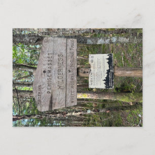 Pemigewasset Wilderness Postkarte