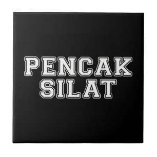 Pencak Silat Fliese
