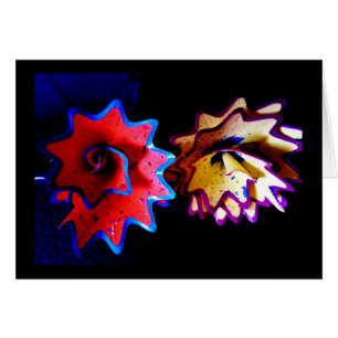 Pencil Shavings Blume