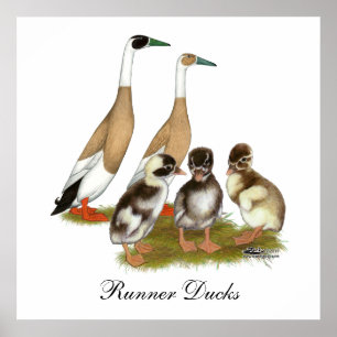 Pención Runner Duck Family Poster