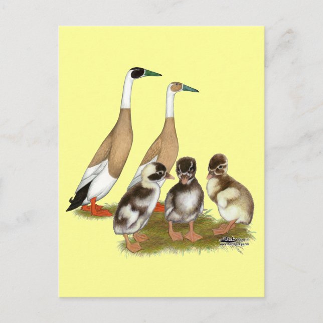 Pención Runner Duck Family Postkarte (Vorderseite)