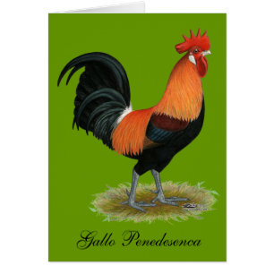 Penedesenca Hahn