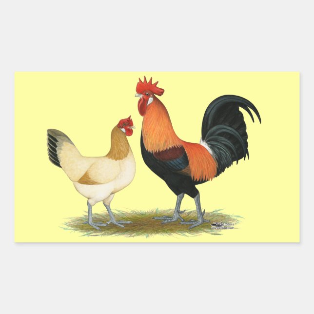 Penedesenca Rechteckiger Aufkleber (Vorderseite)