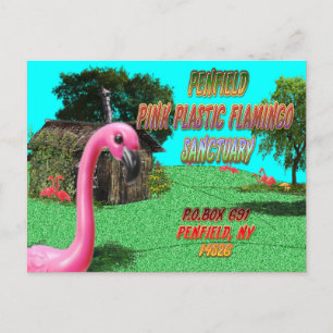 Penfield rosa Plastikflamingo-Schutzgebiet Postkar Postkarte