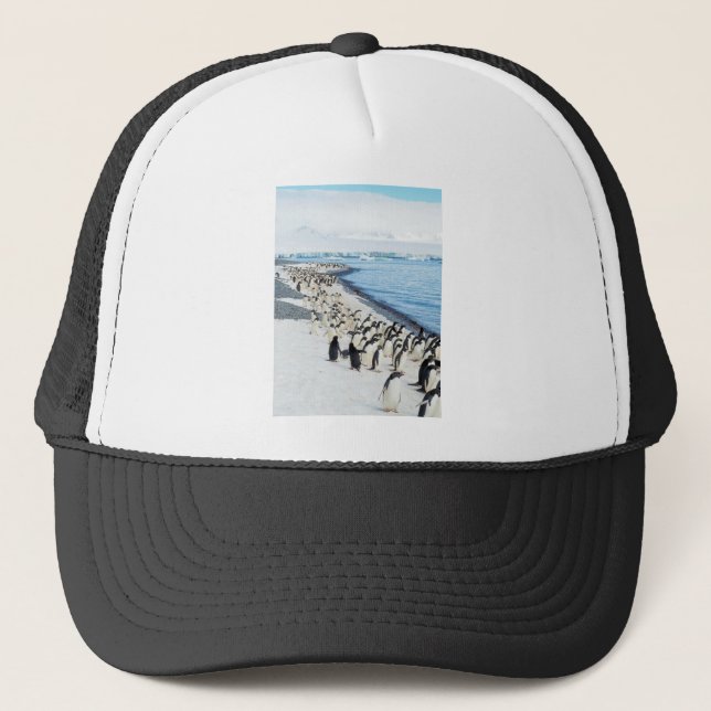 Pengionen am Strand Truckerkappe (Vorderseite)