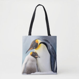 Penguin Animal Bird Schönheit Freiheit Wildnis Kun