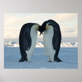 Penguin Arctic Birthday Dusche Party Liebe Destina Poster