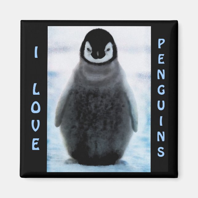 Penguin Baby Penguin Lover Fine Art Magnet (Vorne)