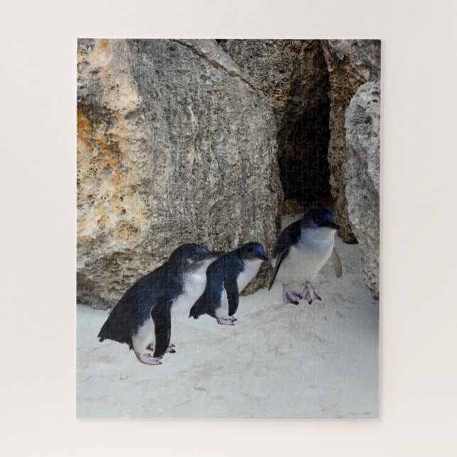 Penguin Beach House, Puzzle (Vertikal)