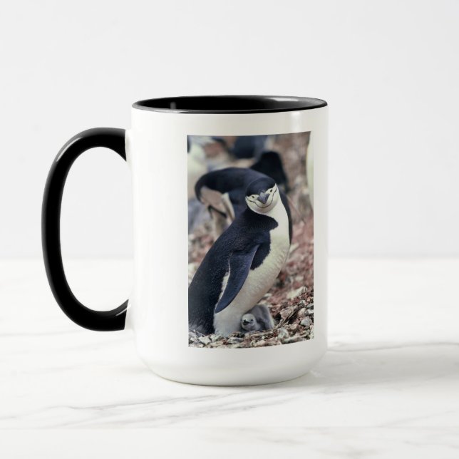 Penguin Bird Süße Tier Schwarz-weißes Wasser Tasse (Links)