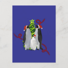 Penguin Christmas Feiertagspostkarte