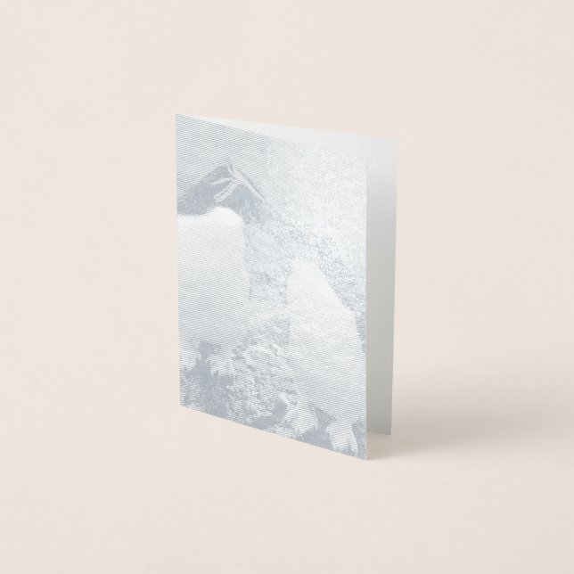 Penguin Colour Splash Folienkarte (Vorderseite)