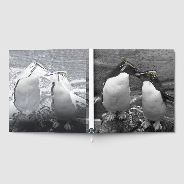 Penguin Colour Splash Gästebuch (Voll)