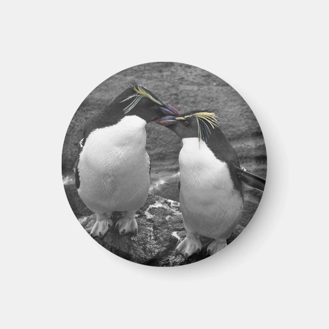 Penguin Colour Splash Magnet (Vorne)