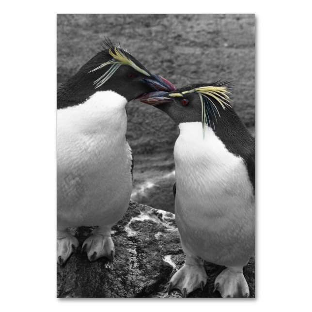 Penguin Colour Splash Tischnummer (Vorderseite)