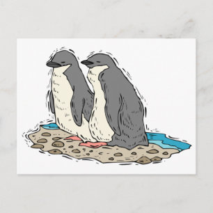 Penguin Couple Sandy Beach Postkarte