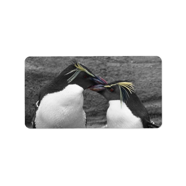 Penguin-Farbenexplosion Adressaufkleber (Vorne)