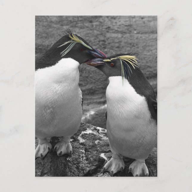 Penguin-Farbenexplosion Postkarte (Vorderseite)