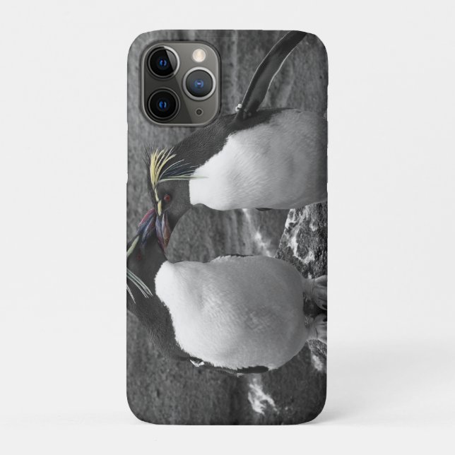 Penguin-Farbenpracht Case-Mate iPhone Hülle (Rückseite)