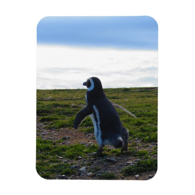 Penguin Flexible Magnet (Vertikal)