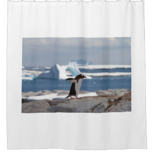Penguin in front of an ice arch duschvorhang