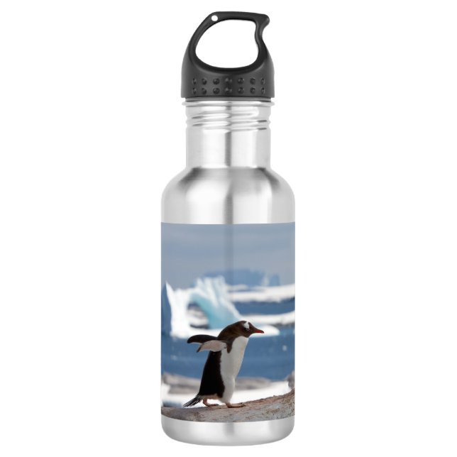 Penguin in front of an ice arch edelstahlflasche (Vorderseite)