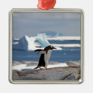 Penguin in front of an ice arch ornament aus metall