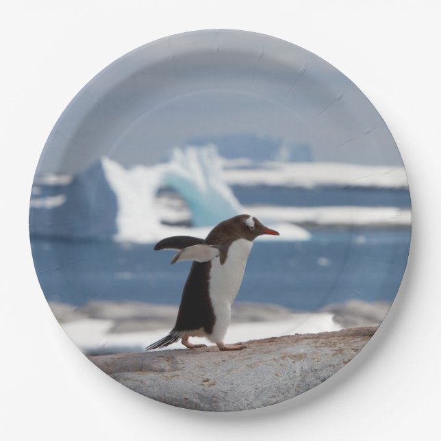 Penguin in front of an ice arch pappteller (Vorderseite)