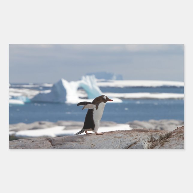 Penguin in front of an ice arch rechteckiger aufkleber (Vorderseite)