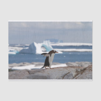 Penguin in front of an ice arch seidenpapier