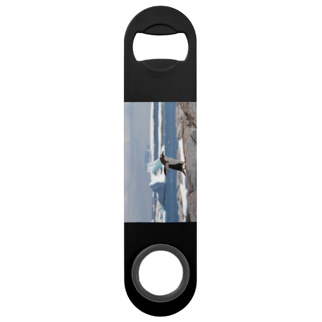 Penguin in front of an ice arch speed flaschenöffner (Rückseite)