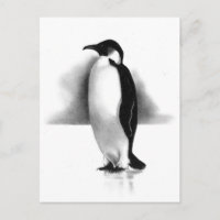 PENGUIN IN PENCIL: REALISMUS ART