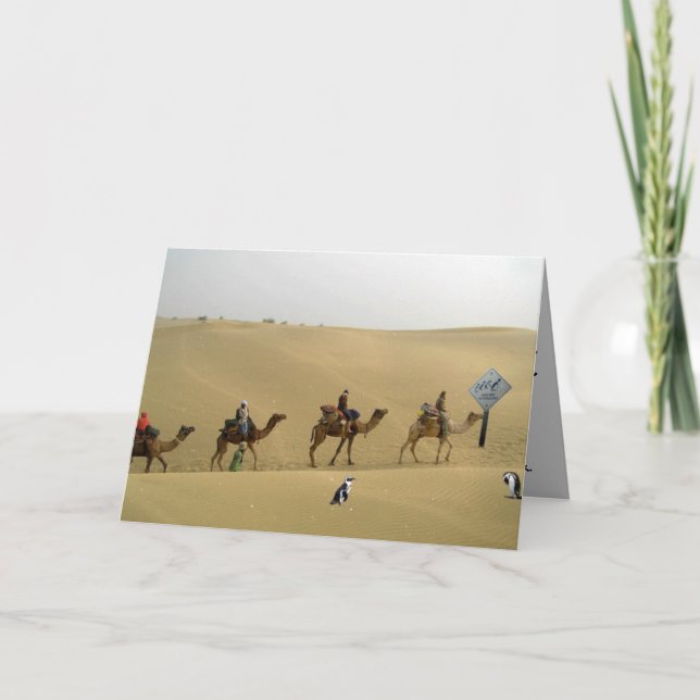 Penguin in the Desert Card Karte (Vorderseite)