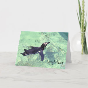 Penguin Karte
