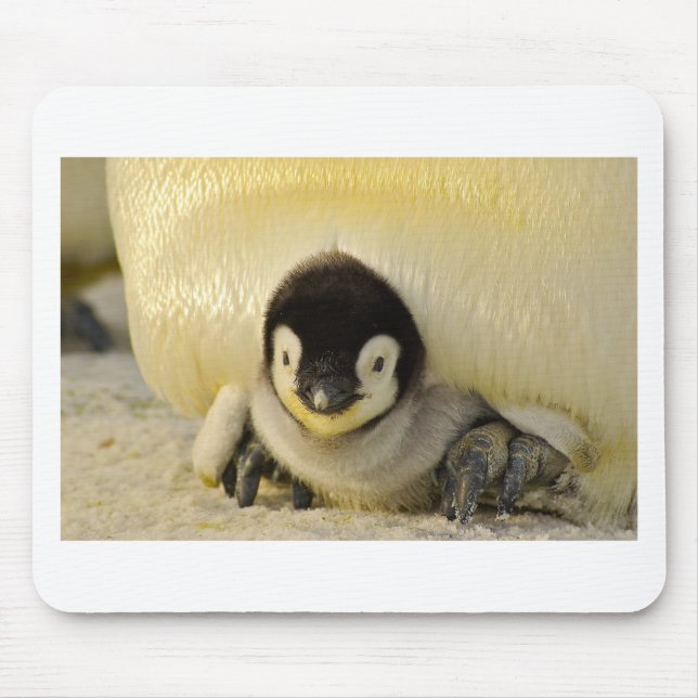 Penguin Mousepad (Vorne)