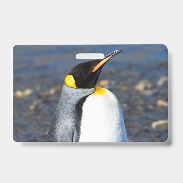 Penguin Portrait Ausweis (Vorderseite)
