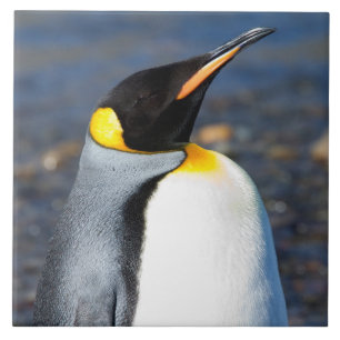 Penguin Portrait Fliese