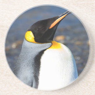 Penguin Portrait Getränkeuntersetzer