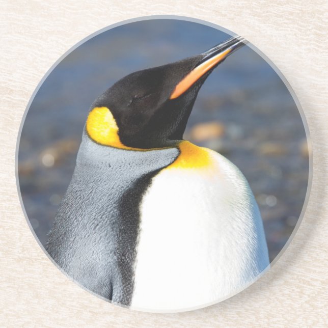 Penguin Portrait Getränkeuntersetzer (Vorne)