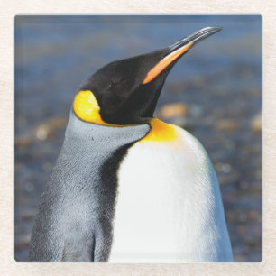 Penguin Portrait Glasuntersetzer
