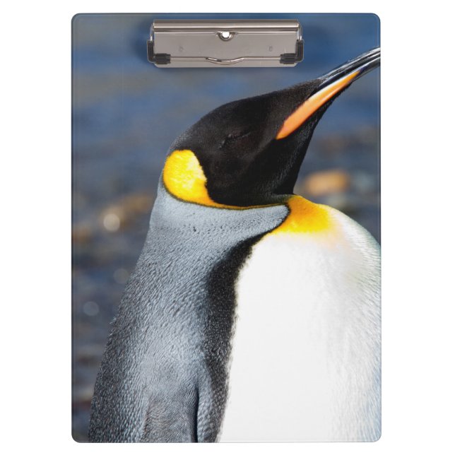 Penguin Portrait Klemmbrett (Vorderseite)