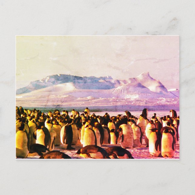 PENGUIN POSTCARD Feiertag Postkarte (Vorderseite)