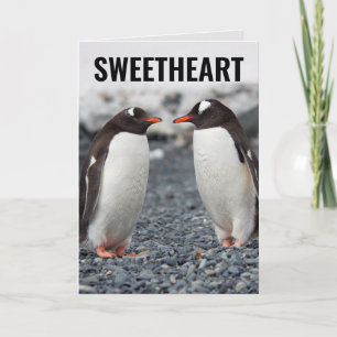 PENGUIN ROMANTIC LIEBE lustige Grußkarte Karte