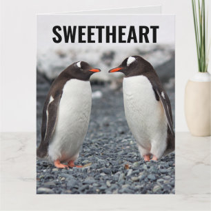 PENGUIN ROMANTIC LIEBE lustige Grußkarte Karte
